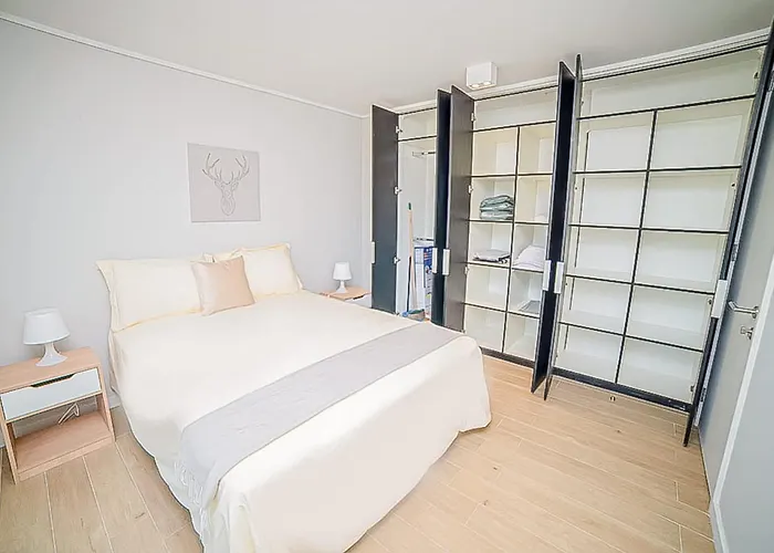 Comfortable Apartment In The Heart Of Providencia