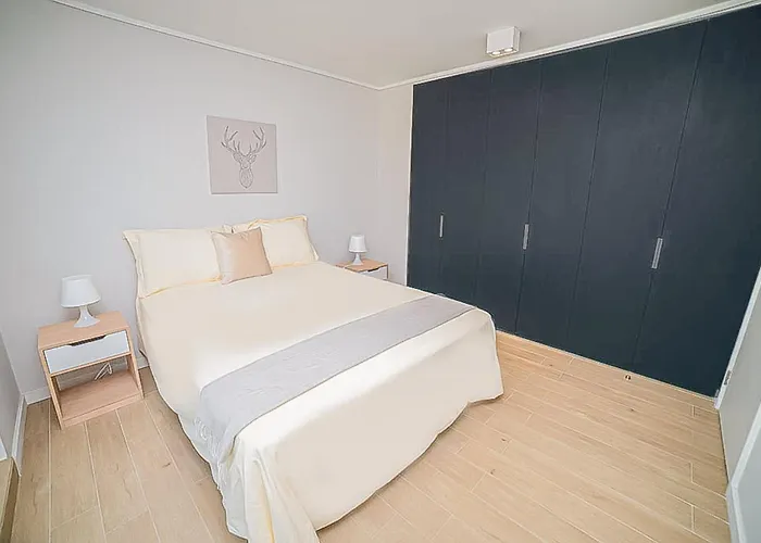 Comfortable Apartment In The Heart Of Providencia