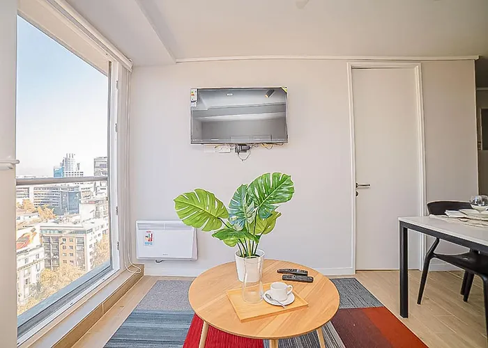 Comfortable Apartment In The Heart Of Providencia