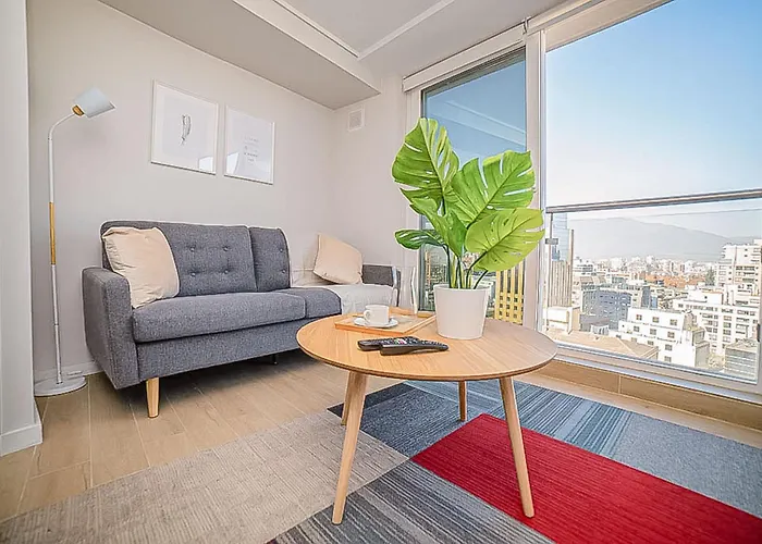 Comfortable Apartment In The Heart Of Providencia
